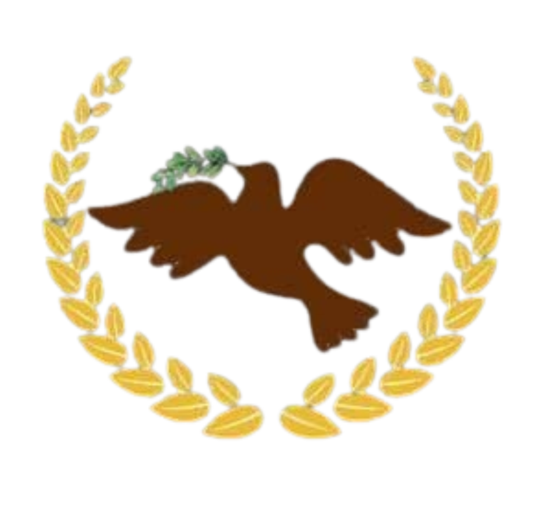 Ogbonnaya Onu Foundation